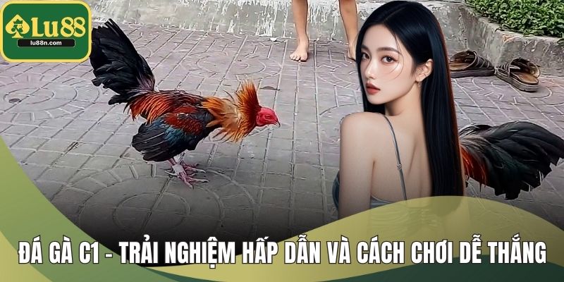 Đá Gà C1