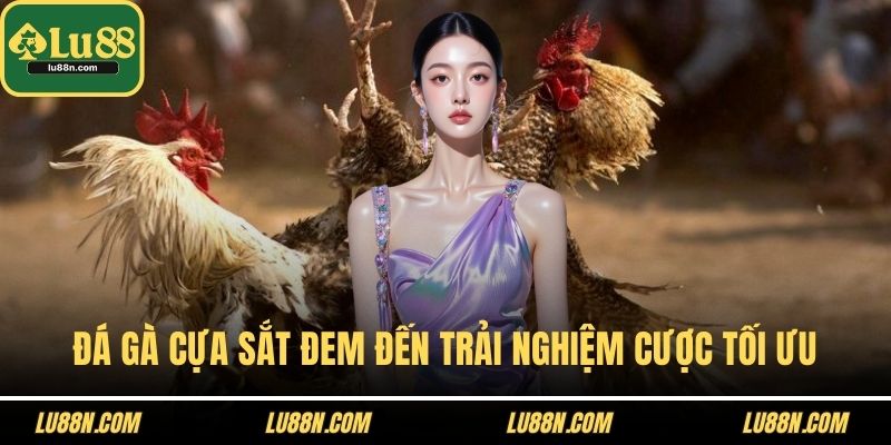 Đá gà cựa sắt đem đến trải nghiệm cược tối ưu